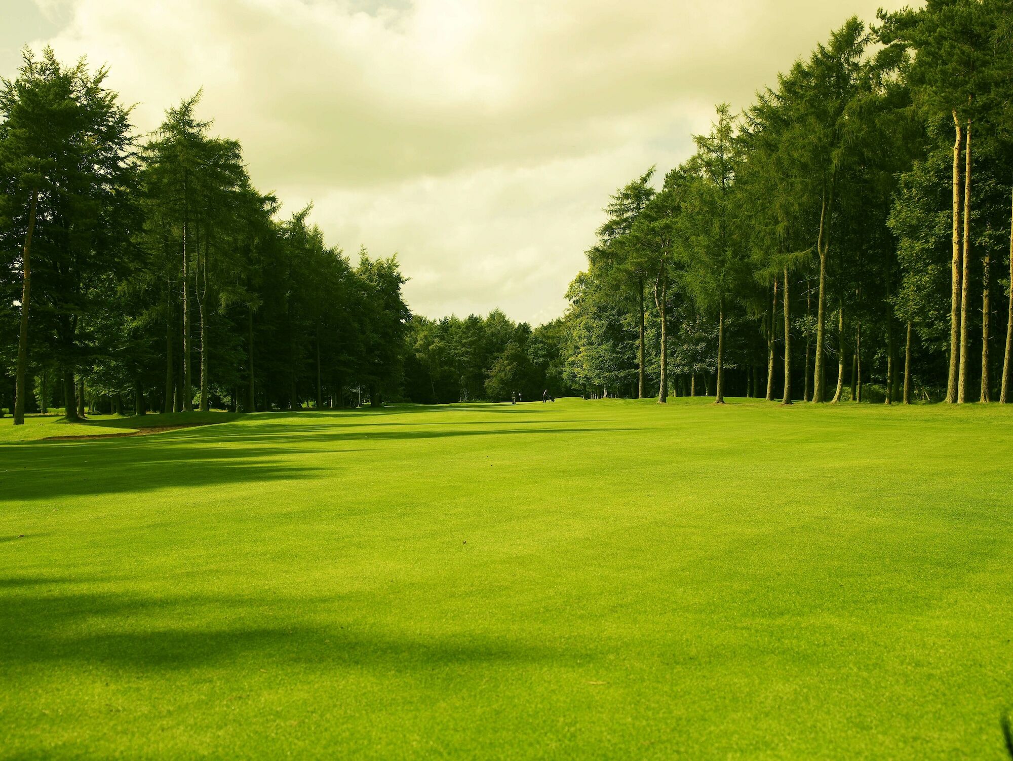 Forest Pines Hotel, Spa & Golf Resort Brigg Exterior foto